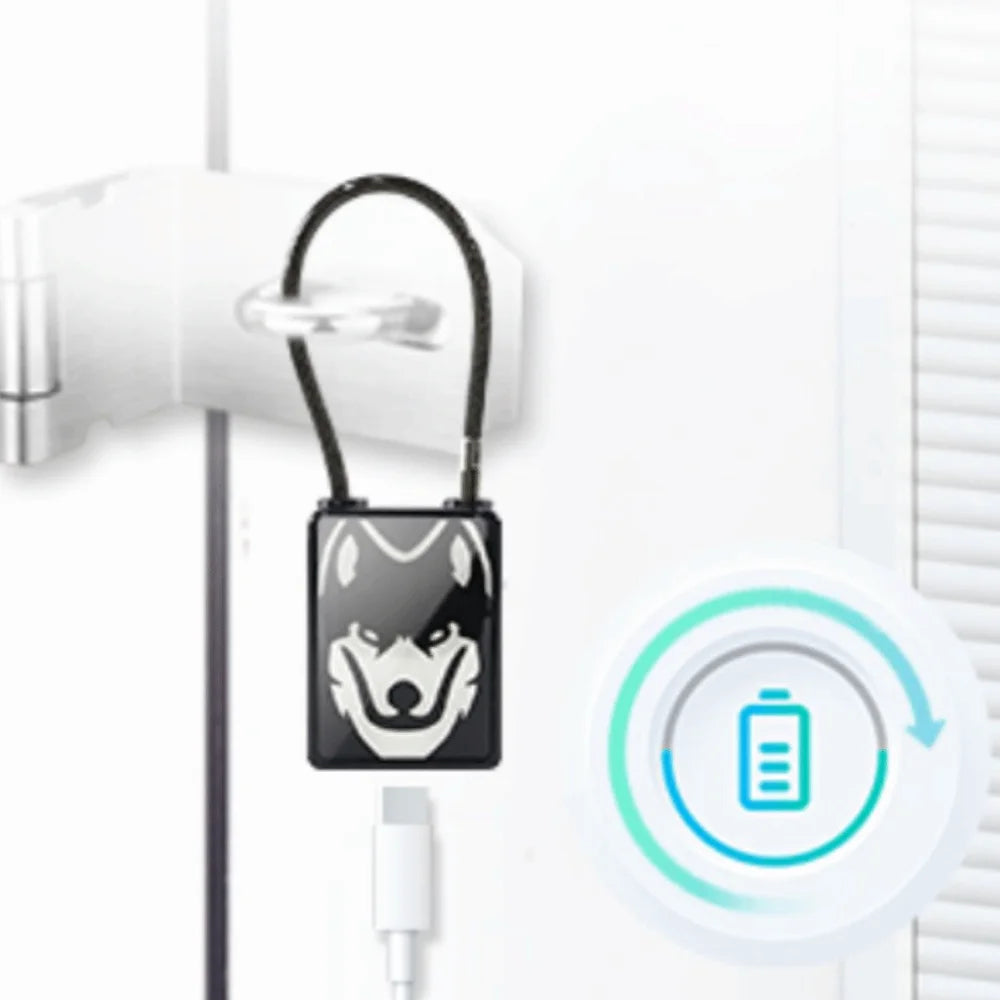 Waterproof Fingerprint Padlock Flexible Steel Rope Anti-Cut Smart Biometric Padlock Anti-Theft Durable Design 2-in-1 Lock