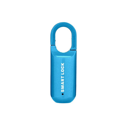 Smart 12M